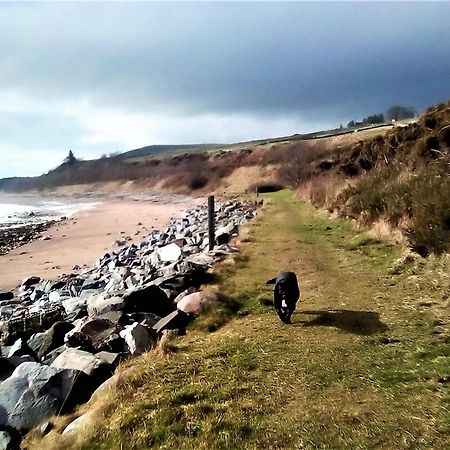 Song Of The Sea, Selkie House Bed and Breakfast Helmsdale Exteriör bild