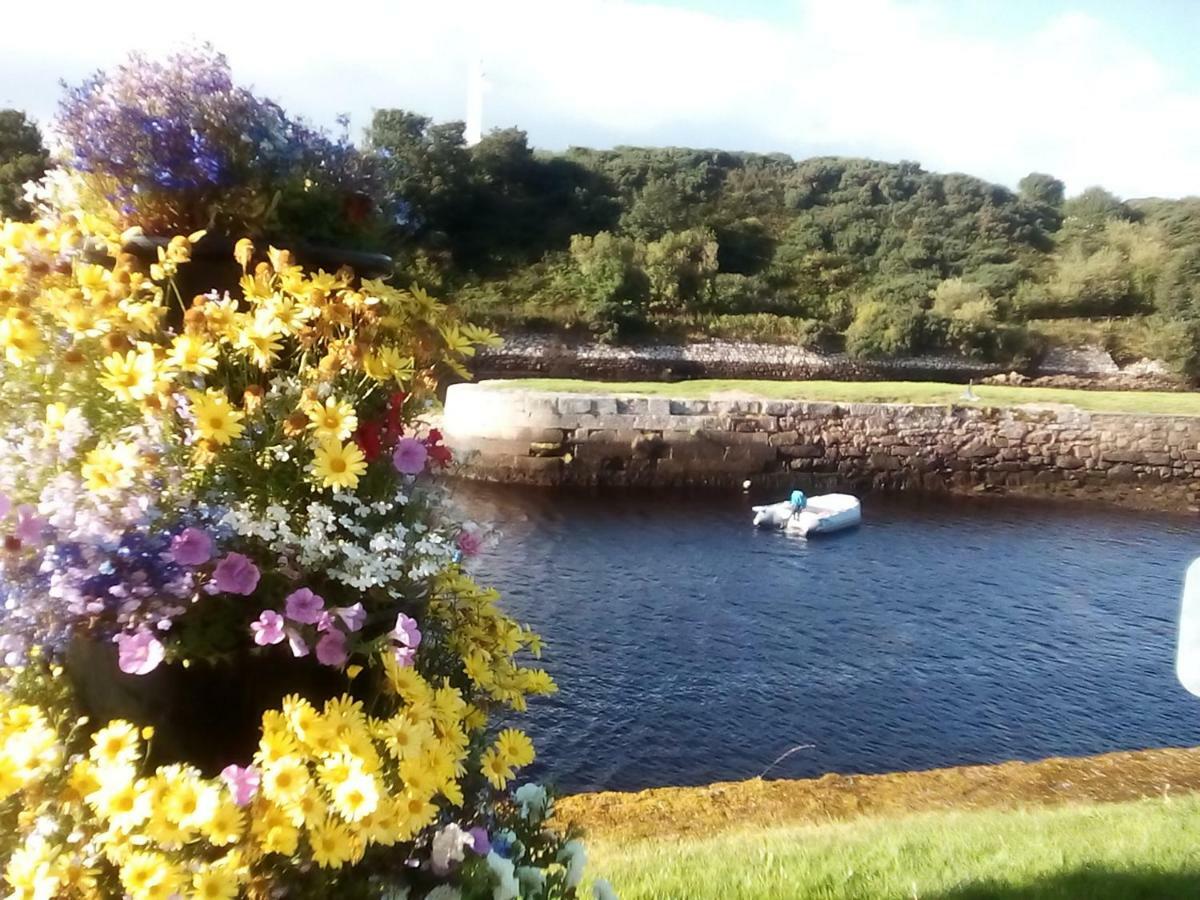Song Of The Sea, Selkie House Bed and Breakfast Helmsdale Exteriör bild